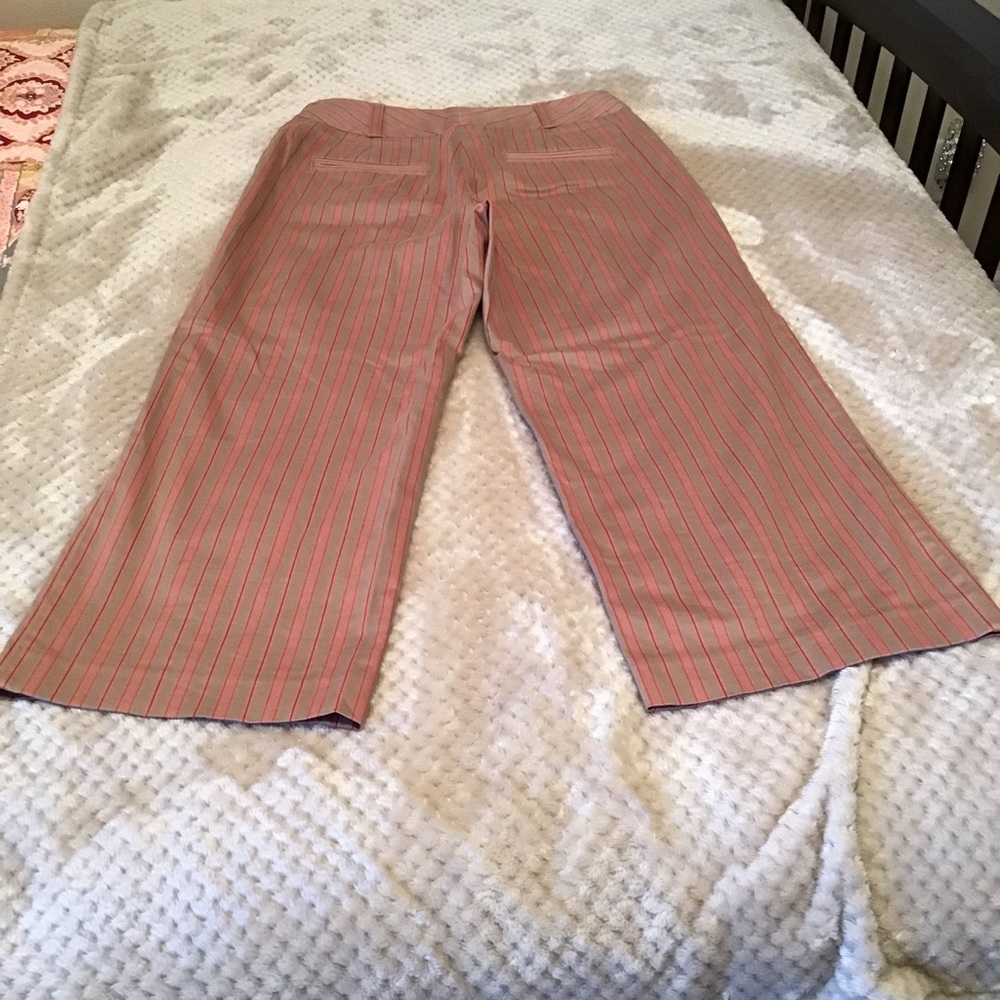 Express Capris - Picture 2 of 7